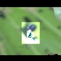 mother - Single - doXa