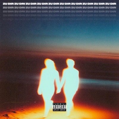 Zu dir find - Single