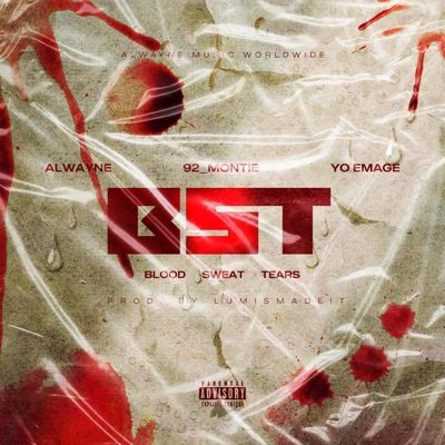 BLOOD, SWEAT AND TEARS(BST) (feat. 92_MONTIE & YO EMAGE) - Single
