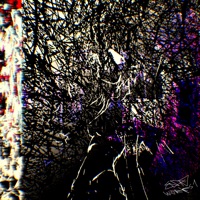 Endo Works 1 - endo!!