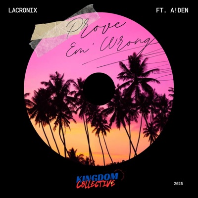 Prove em wrong (feat. A!den) - Single