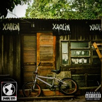 Só de Passagem - Single - Porfs & prodPdrin