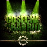 Cosecha De Barrio - Chary Goodman