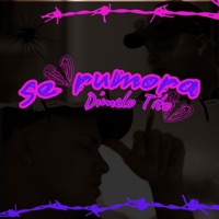 Se Rumora - Single - dimelo tito