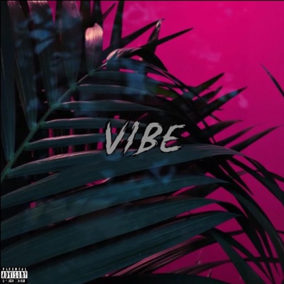 Vibe (feat. Jojoshiner) - Single
