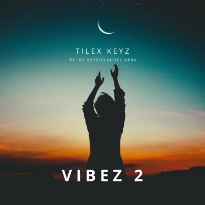 Vibez 2 (feat. DT Keyz & Claudel Dera) - Single