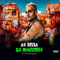 Na Brisa da Maconha - Single - MC Júnior Novamente