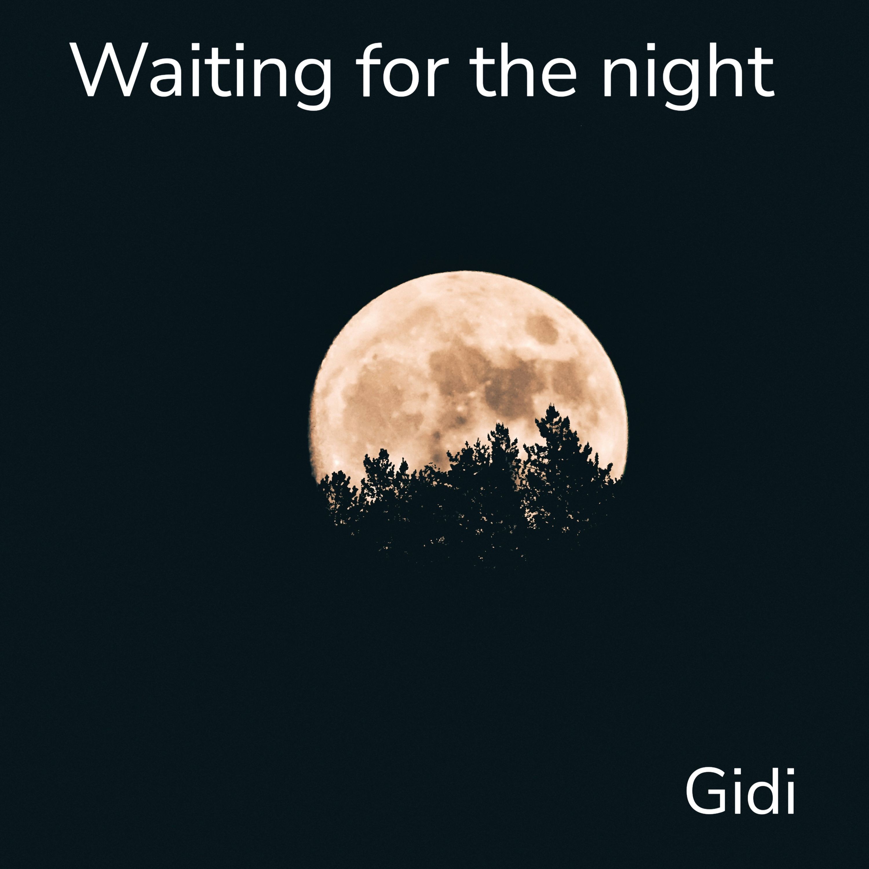 Waiting for the Night - Single