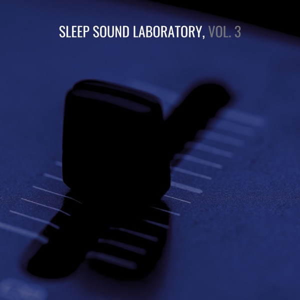 Sleep Sound Laboratory, Vol. 3