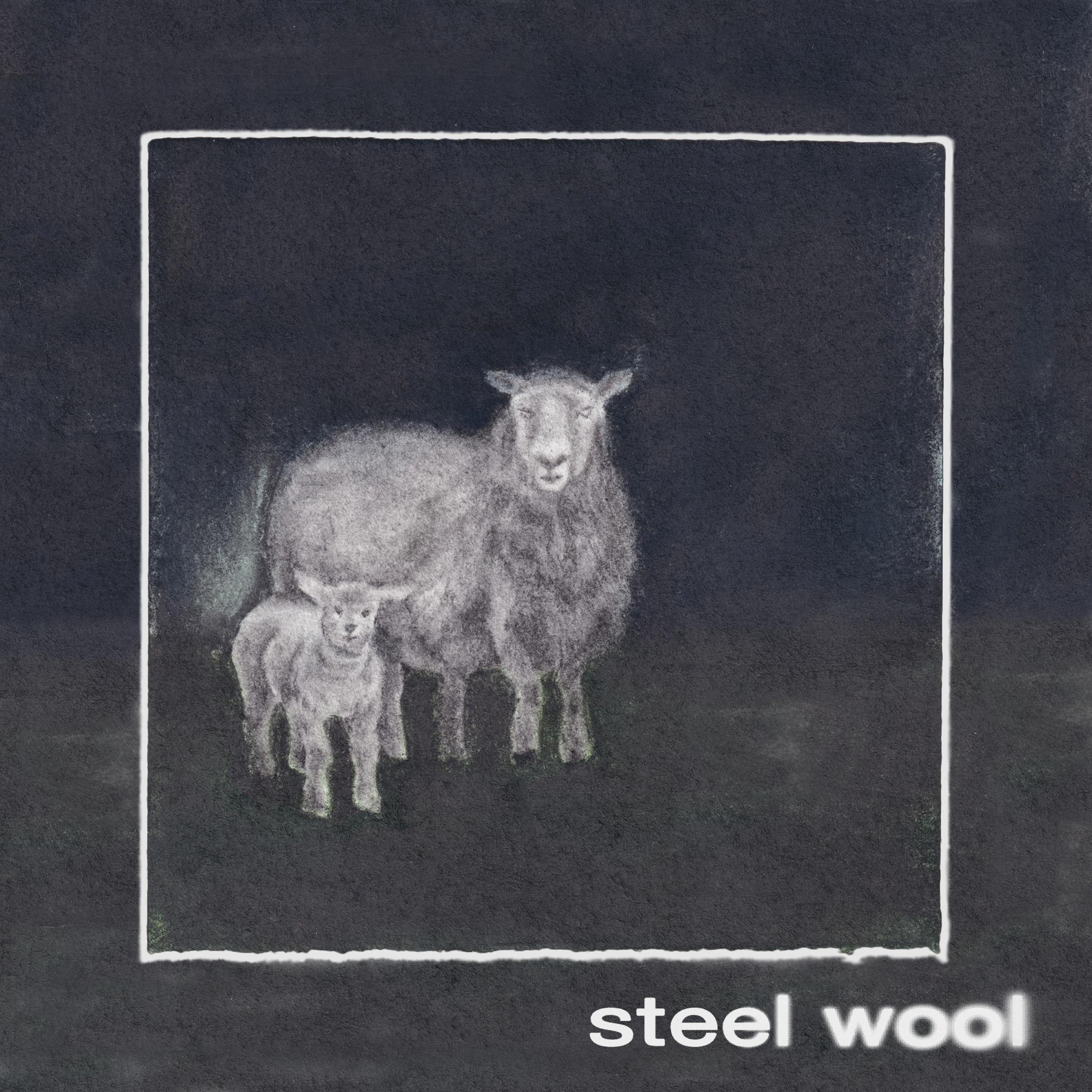 Steel Wool - EP