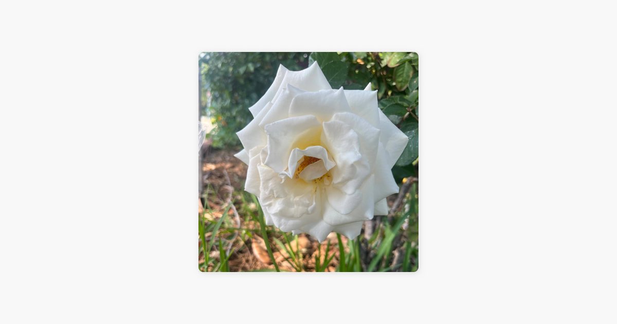 ‎Headlock - Song by H00DIE2CL34N - Apple Music