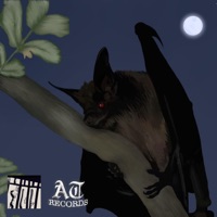 Rebirth - Single - Sin7z