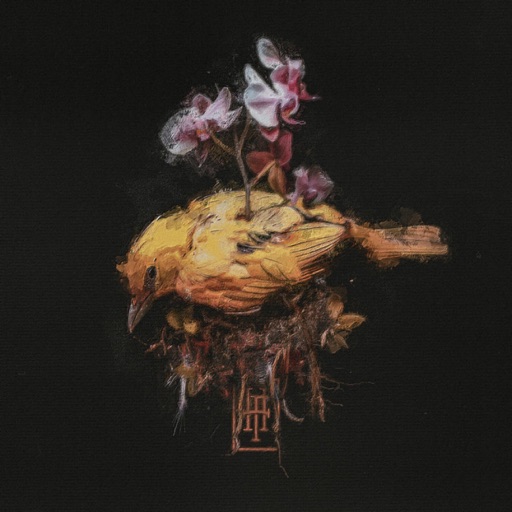Album artwork