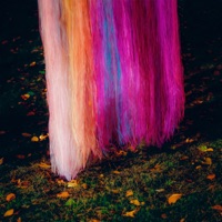 before - Single - slenderbodies
