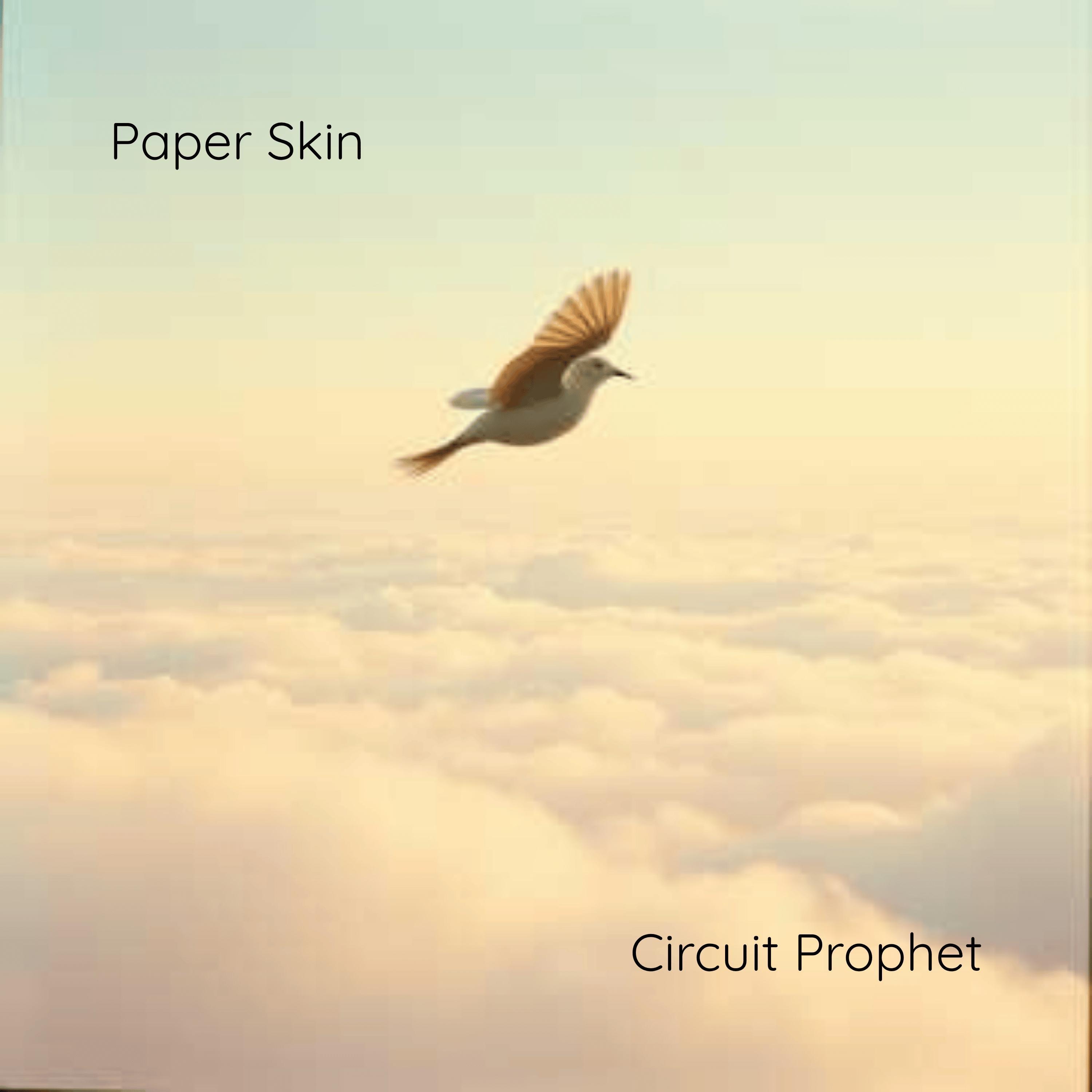 Paper Skin - Single