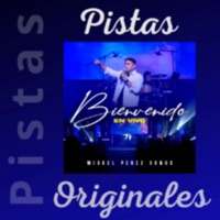 Bienvenido Pistas - Miguel Songs