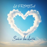 La promesa - Single - maymoneymusic