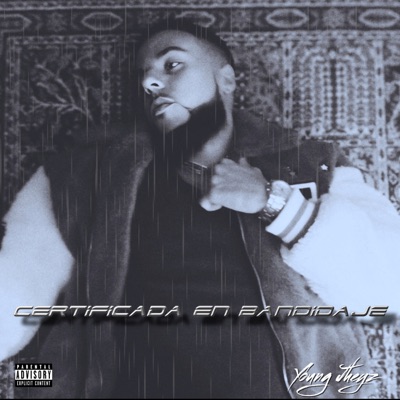Certificada en Bandidaje - Single