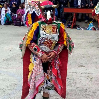 La Cumbia Del Torito - Single