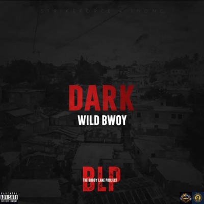 DARK | Bobby lane Project - Single