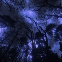 catharsis - Single - lannarie