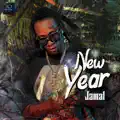 New Year