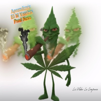 Aprendizaje - Single