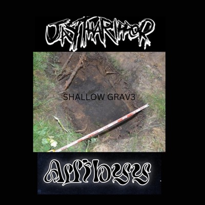 Shallow Grave (feat. JayThaRipper) - Single
