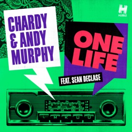 One Life (Jay Robinson Remix) [feat. Sean Declase] Chardy & Andy Murphy
