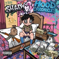 Hood Chronicles - Single - Shady