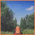 Cyfri Amser