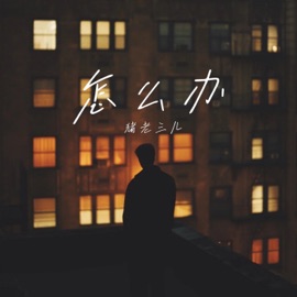 怎么办 (伴奏) 猪老三儿