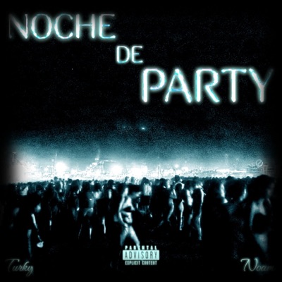 NOCHE DE PARTY (feat. Noam Jm) - Single