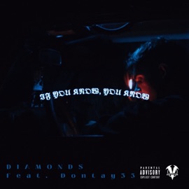 Diamonds (feat. 33dontay) Wav Lee