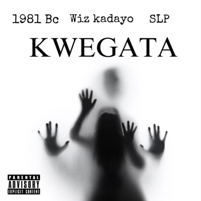 Kwegata (feat. Wiz Kadayo & S L P) - Single