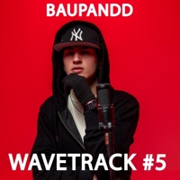 WaveTrack #5 - Single - BAUPANDD, WaveTrack Studios & Mxtu