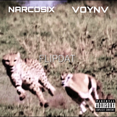 FLIPDAT (feat. Furkan OZCAN) - Single
