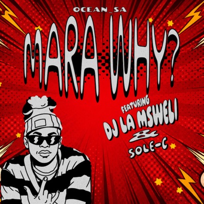 Mara Why? (feat. Dj La Msweli & Sole-C) - Single