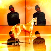 rose. - Single - Akhsosa