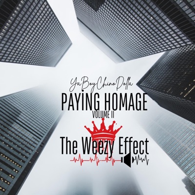 Paying Homage volume ll The Weezy Effect