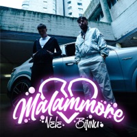 Malammore - Single - VELE & Binnu