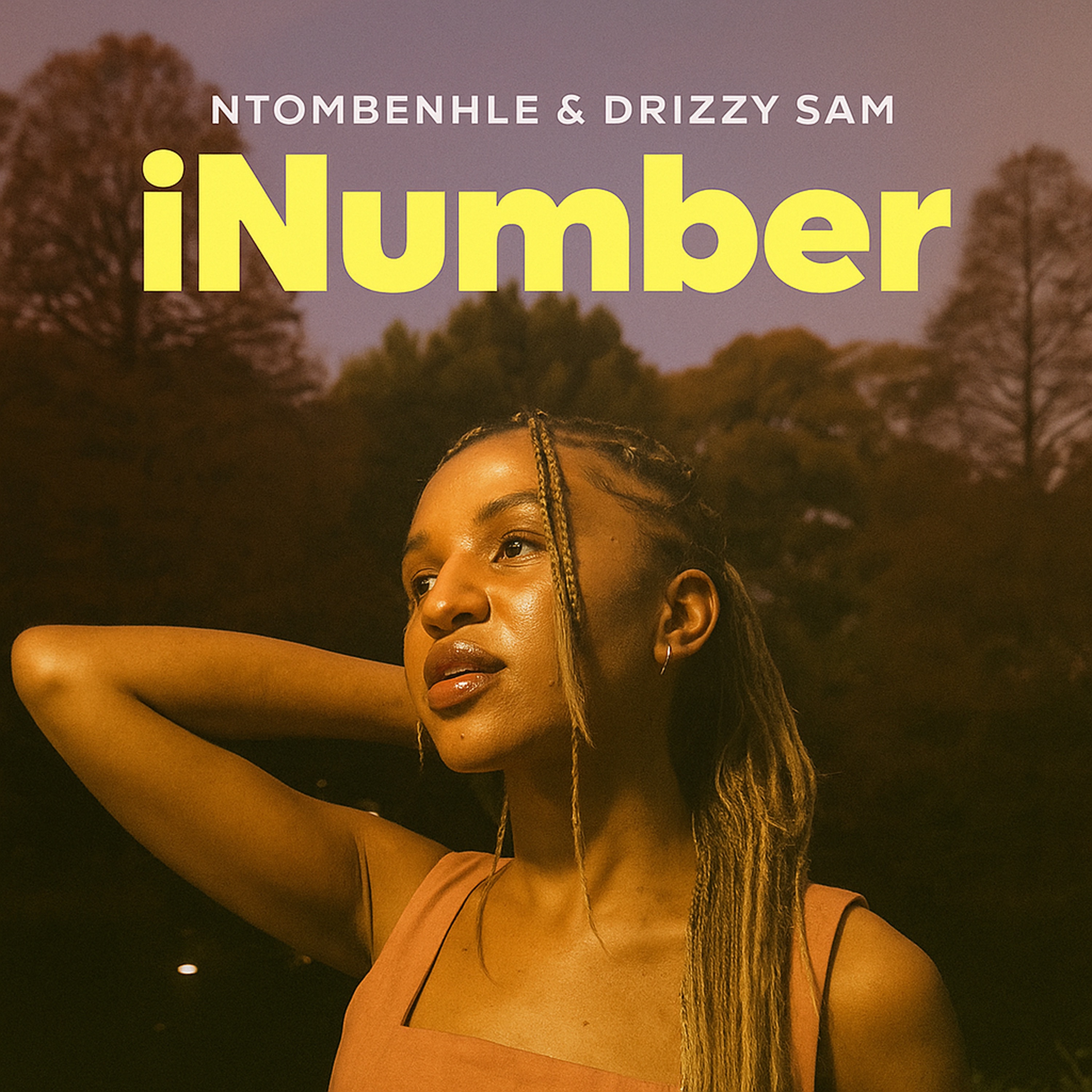 iNumber - Single