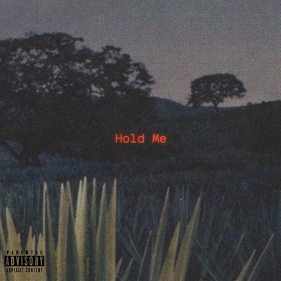 Hold Me - Single