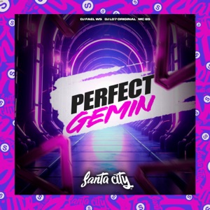 Perfect Gemin (feat. MC VILÃO ZS)