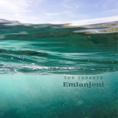 Emlanjeni - Single