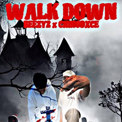 Walk down (feat. Lilbeezyfrmdamobb) - Single