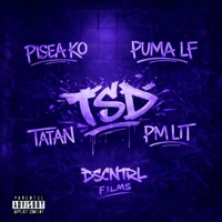 TSD (Te Sigo Dando) - Single - Pisea ok