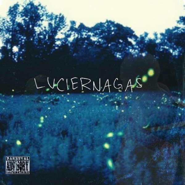 Luciernagas