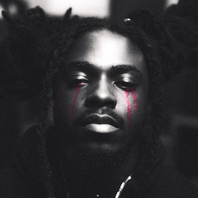 CRY4HELP KUDO NYC (From the Audiovision Show "IF I COULD WEEP, IT WOULD HAIL")