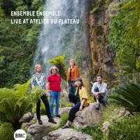 Live at Atelier du Plateau (feat. Eve Risser, Mari Kvien Brunvoll, Kim Myhr, George Dumitriu & Toma Gouband) [Live] - Ensemble Ensemble